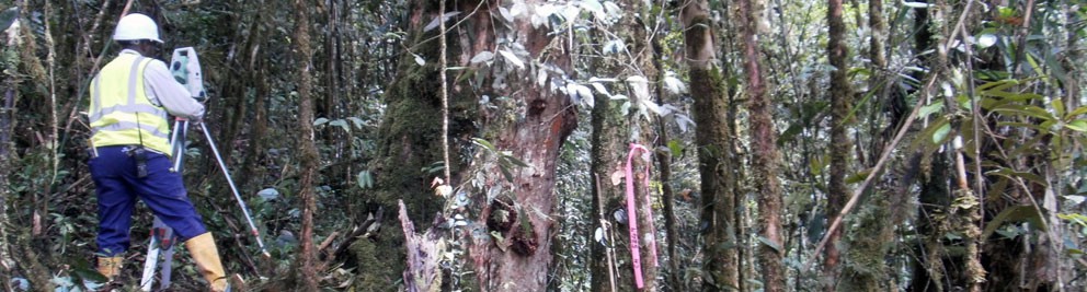 Arman Larmer Surveys Ltd